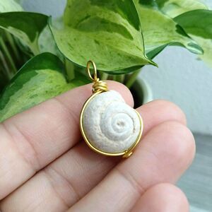 Fossil Wire Wrapped Pendant Charm, Jewelry Making Craft Supplies, 1.25"